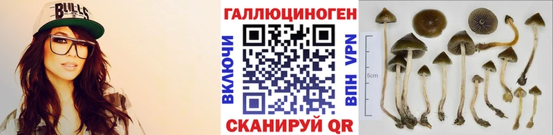 Псилоцибиновые грибы прущие грибы где продают Микунь